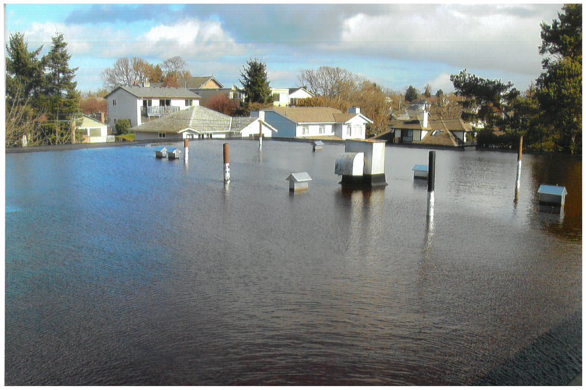 Deep standing water across a low-slope roof with submerged vent stacks